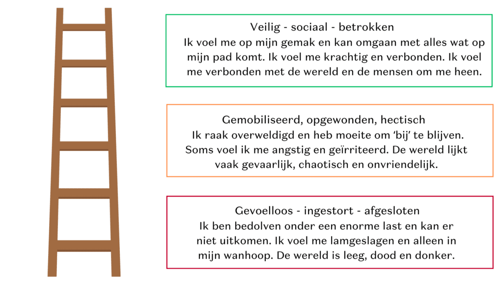 Polyvagaal ladder_PattydeVaan Polyvagaal theorie